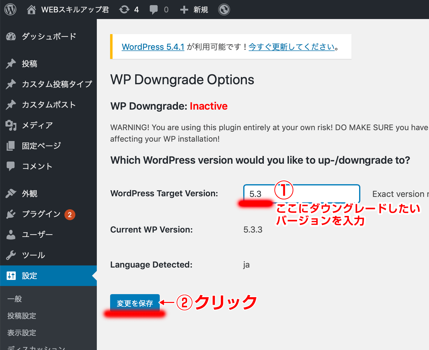WP Downgrade Options